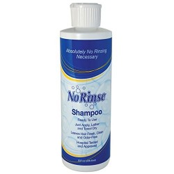 No Rinse Shampoo - 8 fl oz